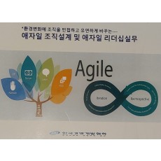 애자일 조직설계 및 운영전략과정(3/19)